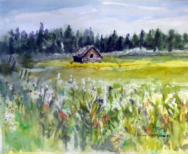 Cabin in field with spring wildflowers near Donnelly Idaho
