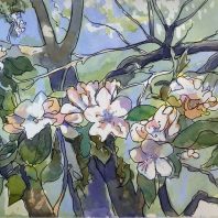 apple blossoms and branches