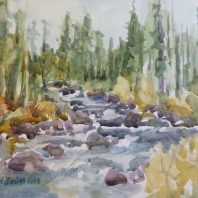plein air watercolor of creek and trees in Sawtooth National Forest Idaho
