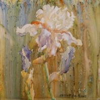 watercolor of iris